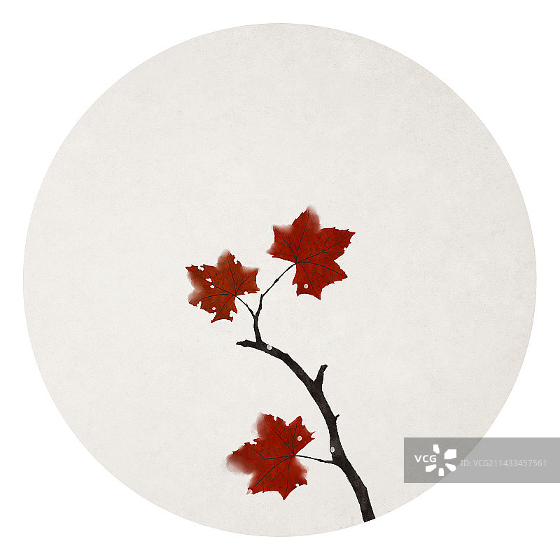 梧桐寒露节气插画图片素材