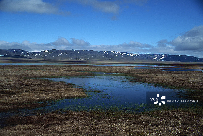 弗兰格尔岛上的苔原、水池和山脉图片素材