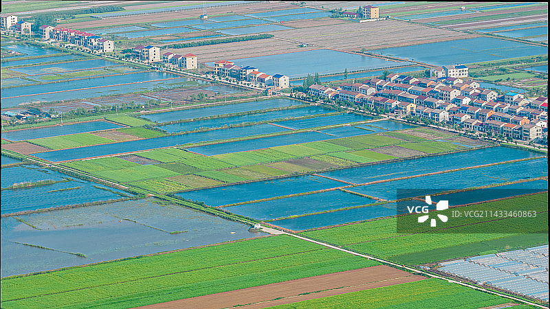 湖南岳阳君山农场图片素材