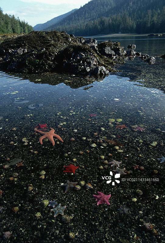 伯纳比海峡的退潮图片素材