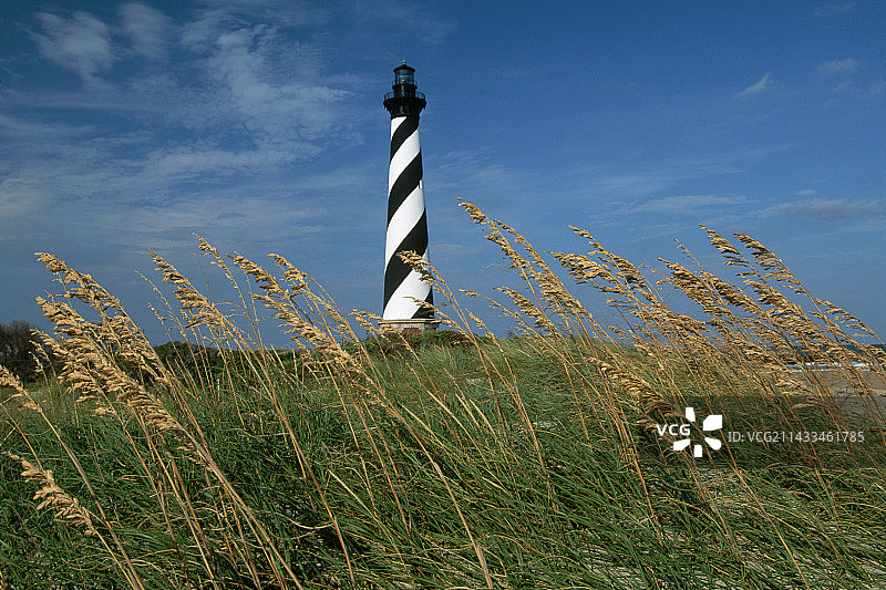 灯塔附近的海燕麦图片素材
