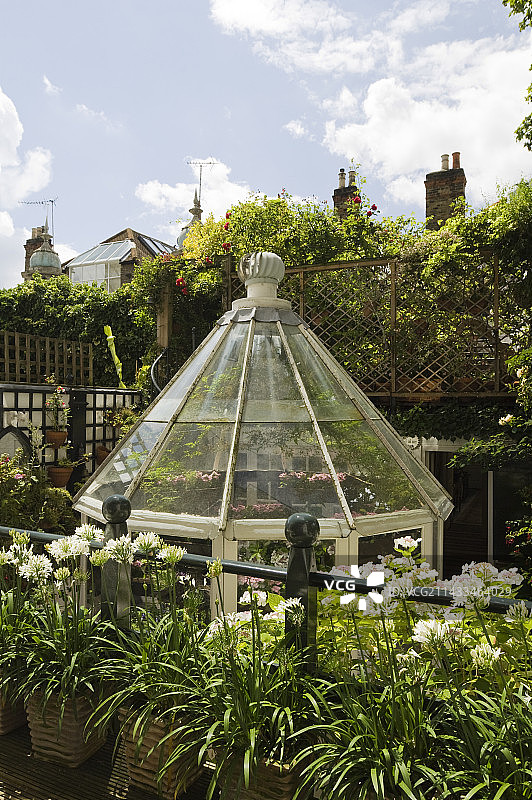 伦敦西部带盆栽的屋顶花园图片素材
