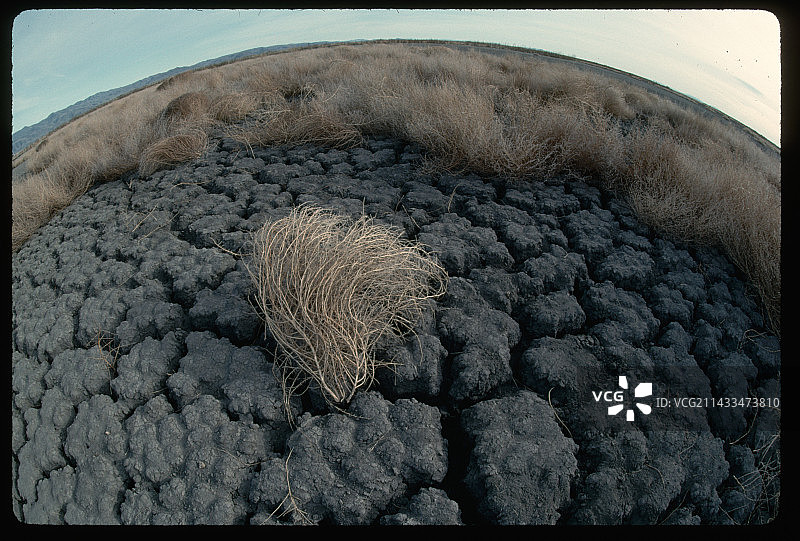 干涸湖床上的风滚草图片素材
