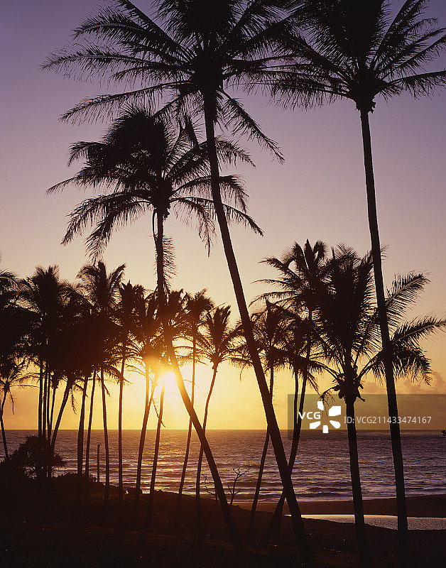 基黑海滩日落图片素材