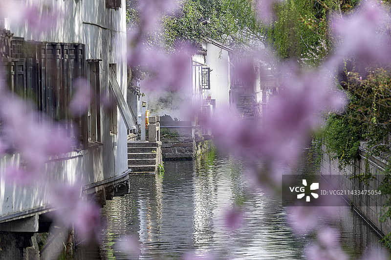 桃花盛开的平江路图片素材