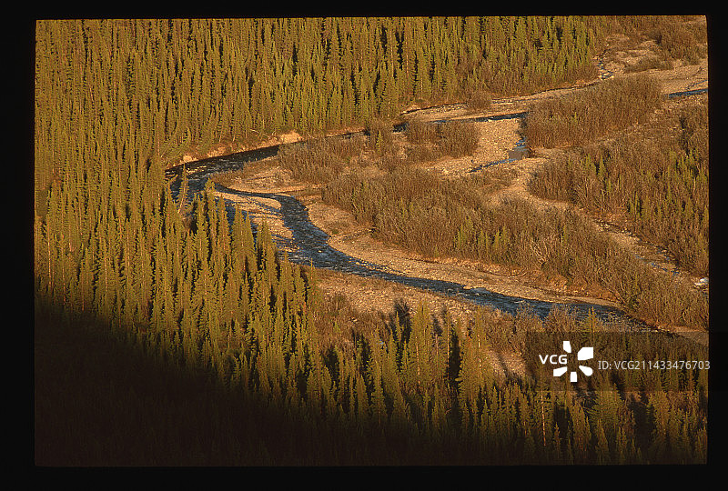 穿过森林的小溪图片素材