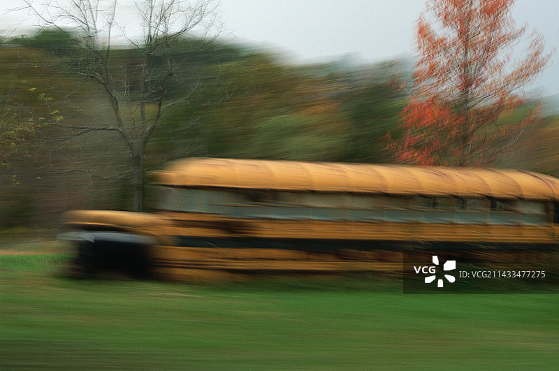 乡村道路上的校车图片素材