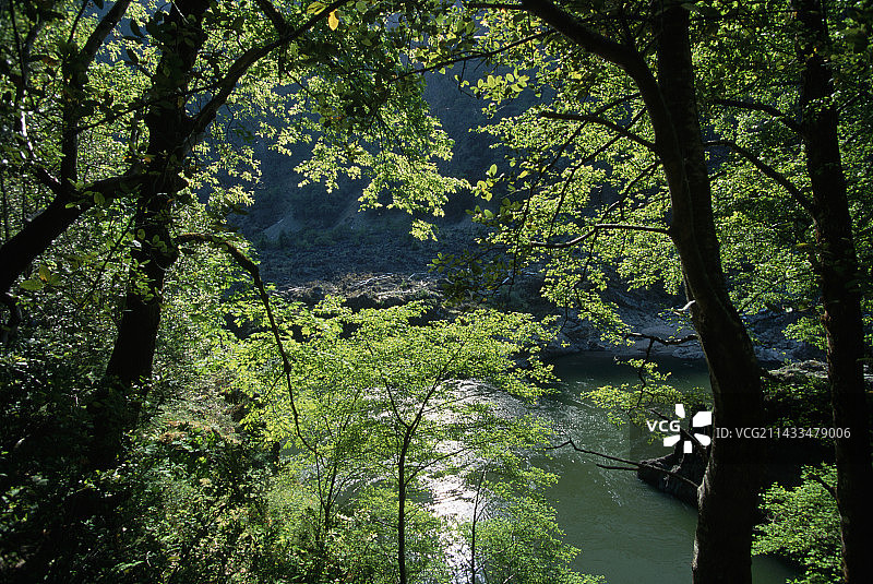 山区桤木与罗格河图片素材
