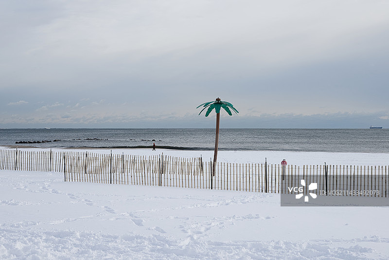 科尼岛海滩雪地里孤独的塑料棕榈树图片素材