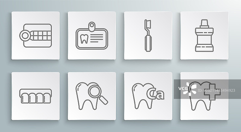 假牙模型与牙齿证件图片素材