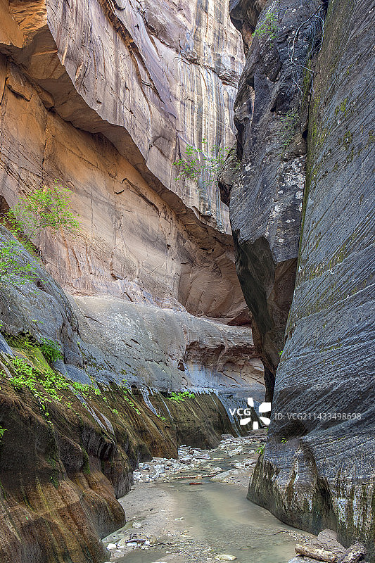 美国犹他州锡安国家公园的奥德维尔峡谷图片素材