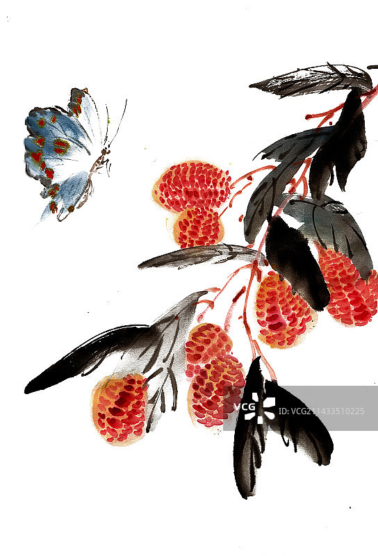 荔枝与蝴蝶图片素材