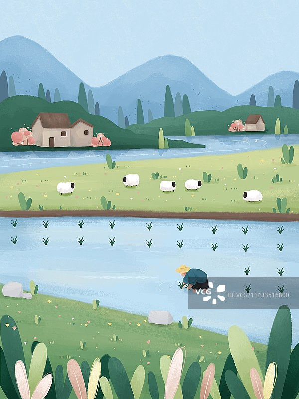插秧插画春季乡村田野图片素材