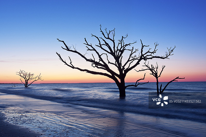 骨头滩的黎明图片素材