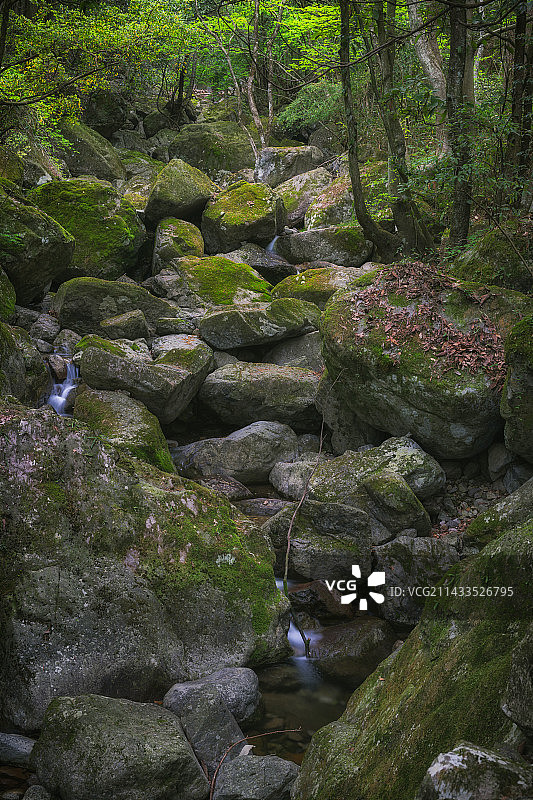 杭州天目山徒步图片素材