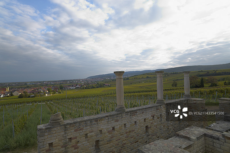 威尔伯格罗马葡萄园风光图片素材