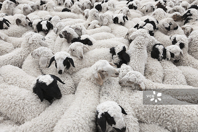 中国内蒙古图片素材