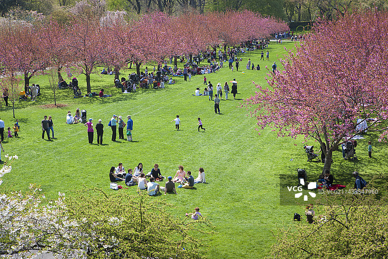 布鲁克林植物园图片素材