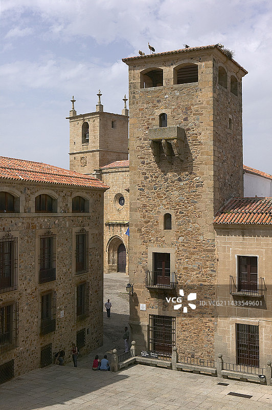 高尔菲内斯·德·阿瓦霍宫和圣玛丽亚大教堂图片素材