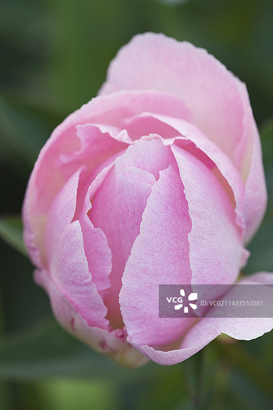 格兰德伯恩花园图片素材