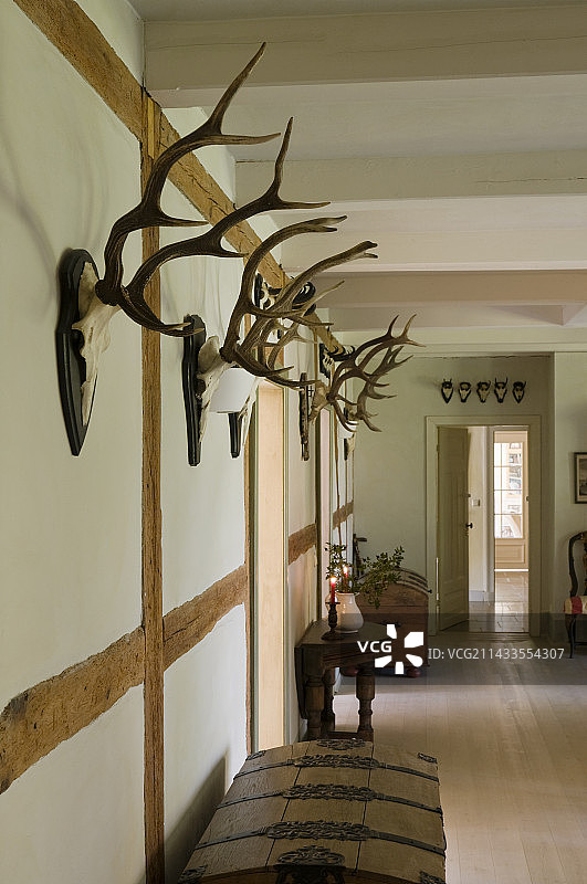 19世纪20年代德国农舍修复图片素材