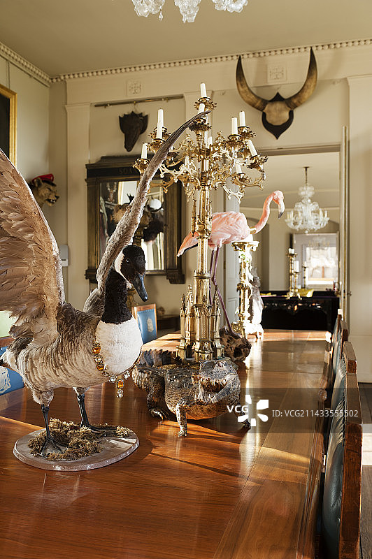 Aynhoe公园图片素材