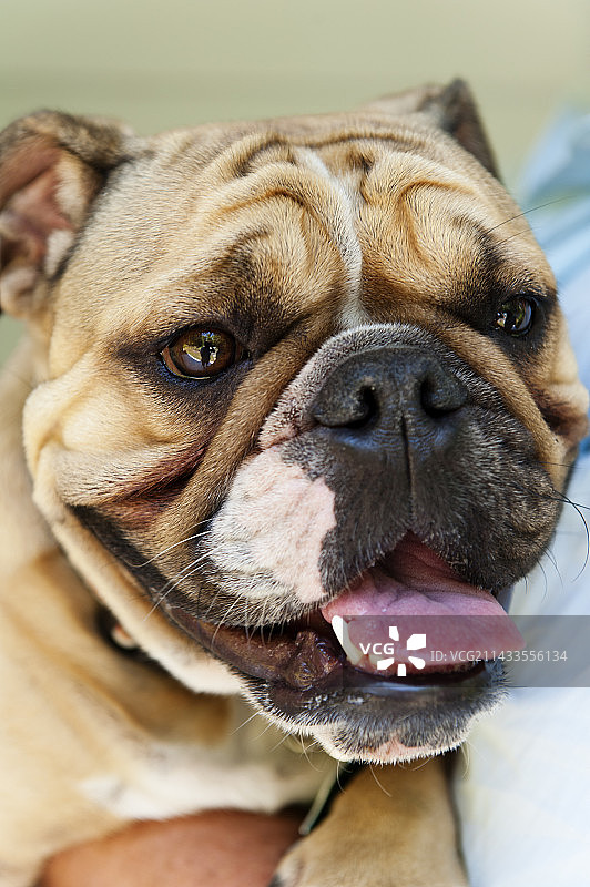 卡茨基尔山的小木屋图片素材