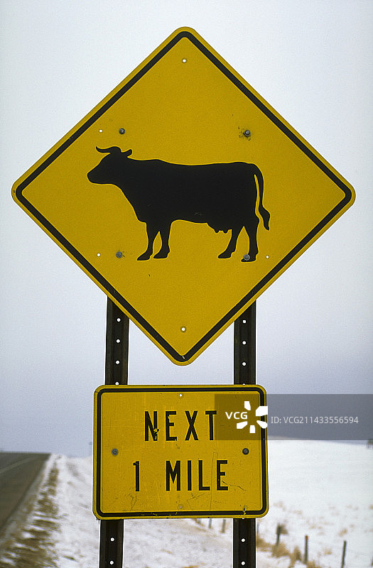 牛标志图片素材