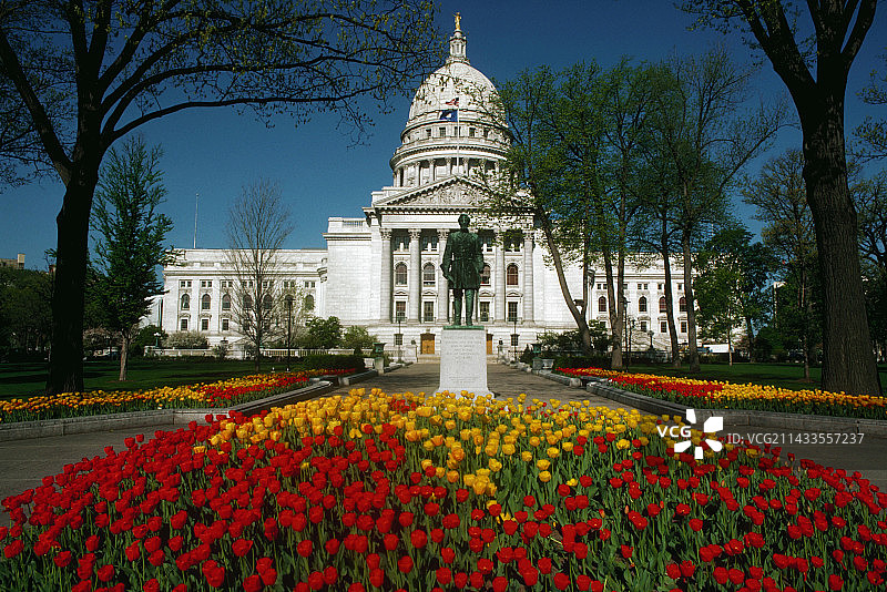 威斯康星州议会大厦的郁金香图片素材