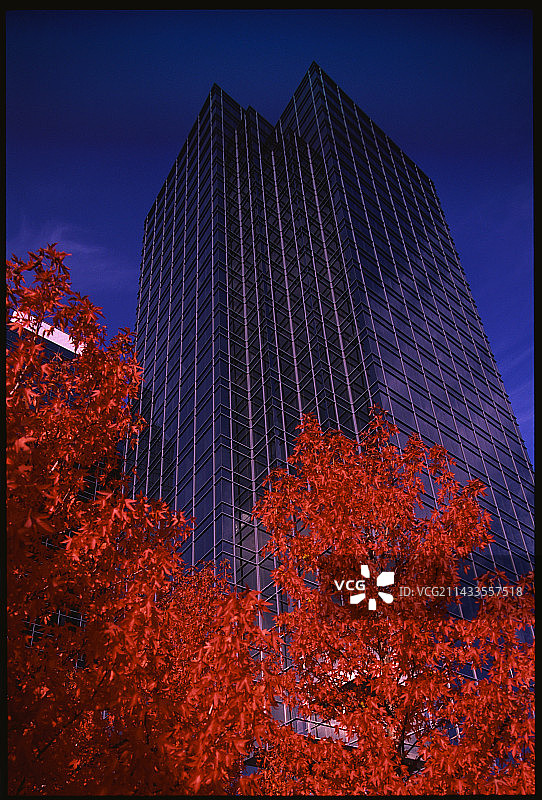 罗杰斯坎特尔大厦图片素材