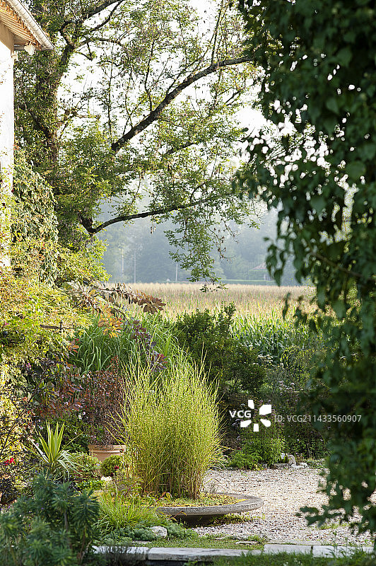 法国阿基坦改造的15世纪核桃磨坊图片素材