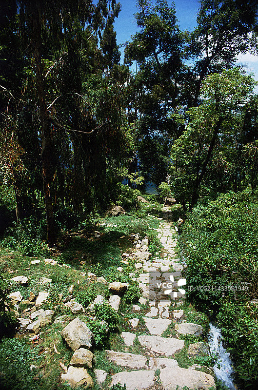 太阳岛小路图片素材