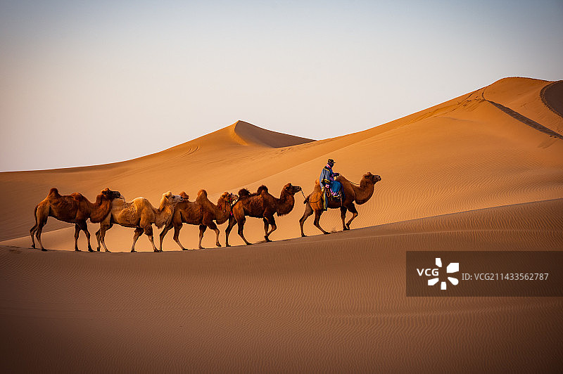 巴丹吉林沙漠中骑骆驼的人图片素材