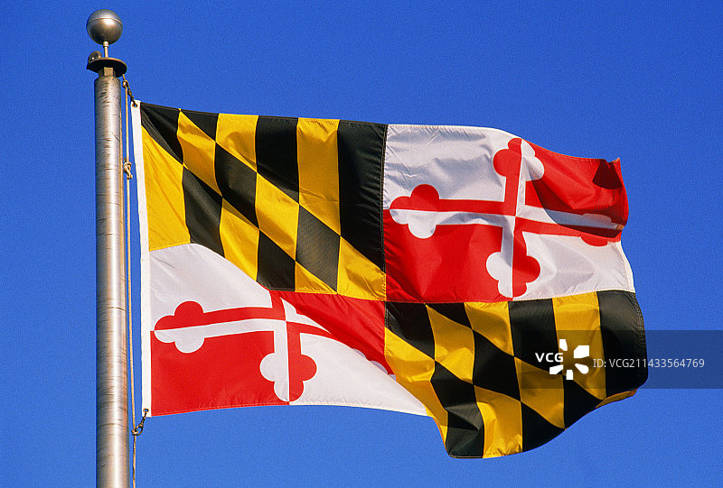 马里兰州州旗图片素材
