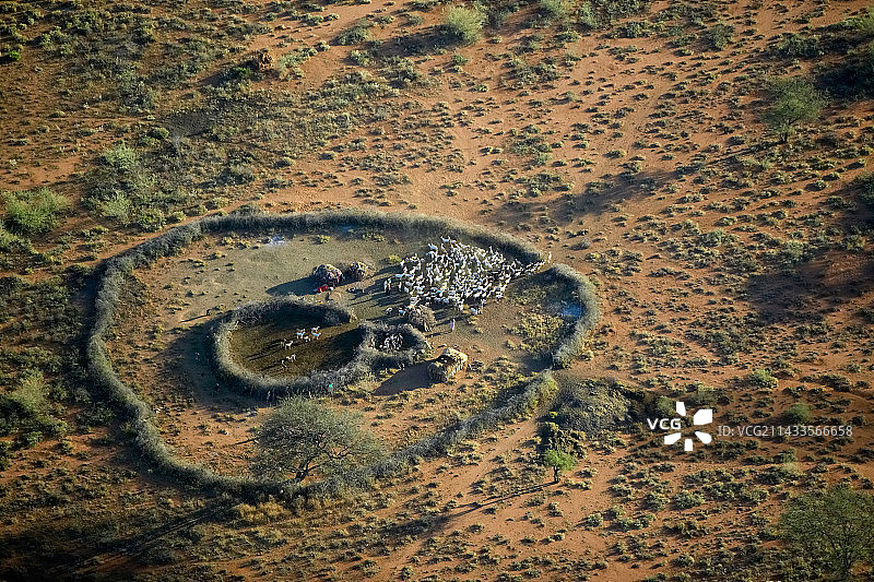 圆形围栏中的马赛村庄和羊群图片素材