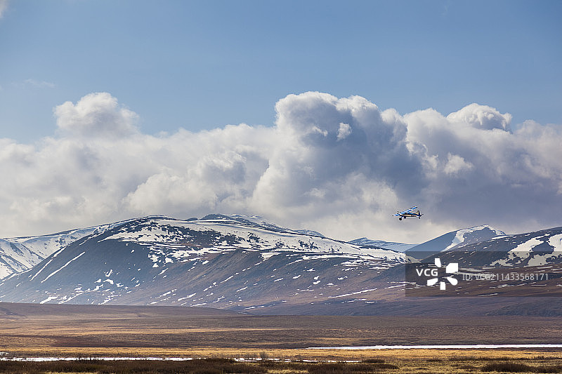 丛林飞机图片素材