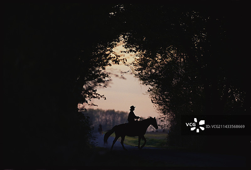 女子骑马轮廓图片素材