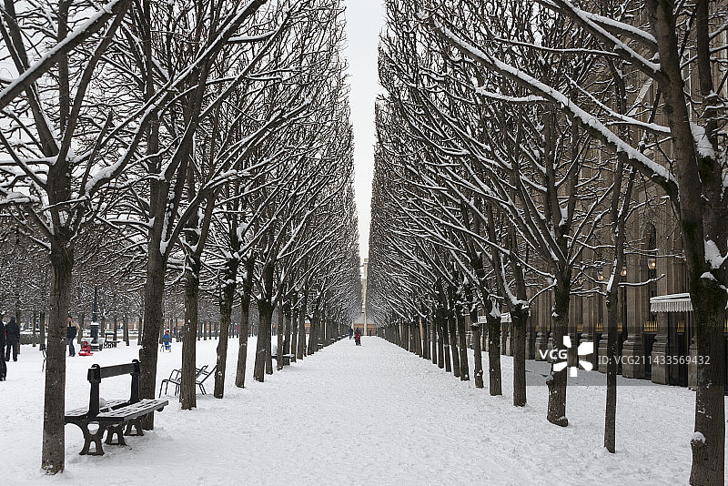 巴黎皇家花园雪景图片素材