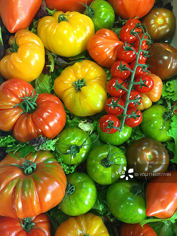巴黎户外食品市场出售的什锦番茄图片素材