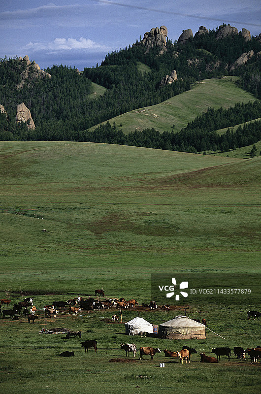 蒙古山谷中的蒙古包营地图片素材