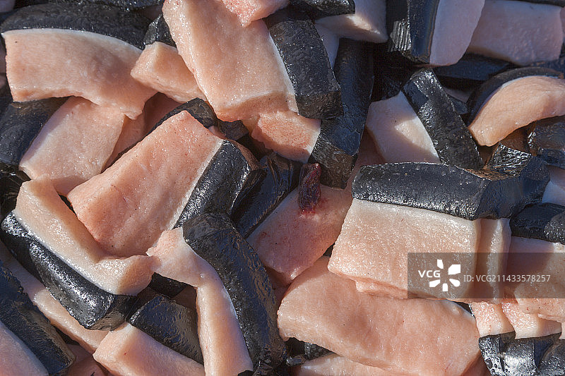 弓头鲸脂图片素材