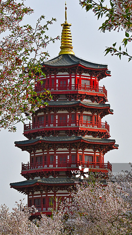 洛阳·朱樱塔图片素材