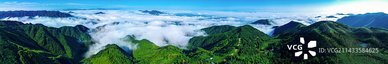 杭州富阳安顶云雾茶种植园图片素材