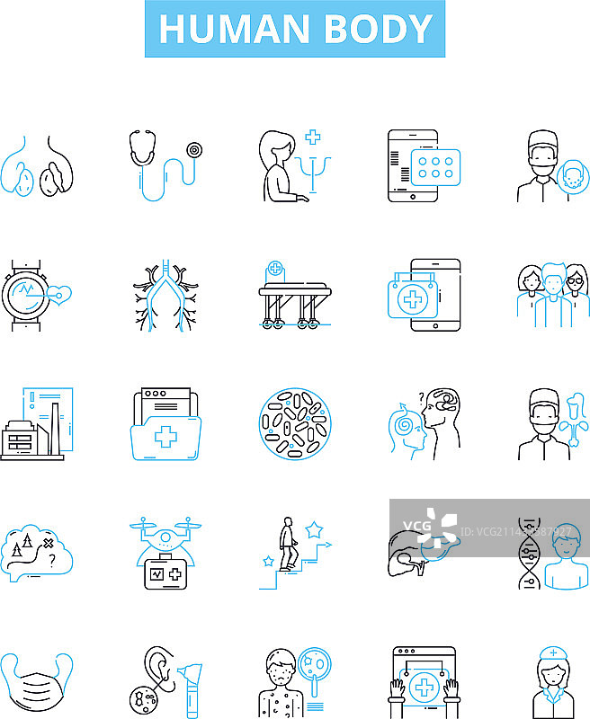 人体线条图标解剖图片素材