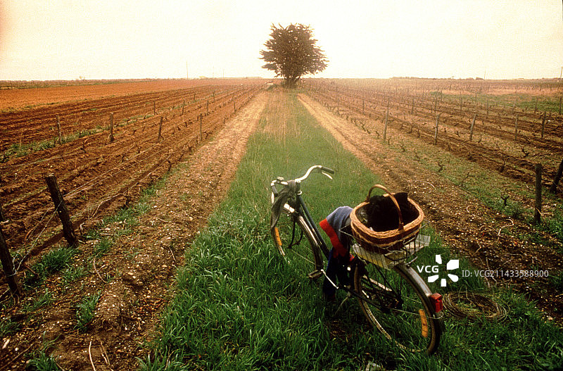 法国田野间的自行车图片素材