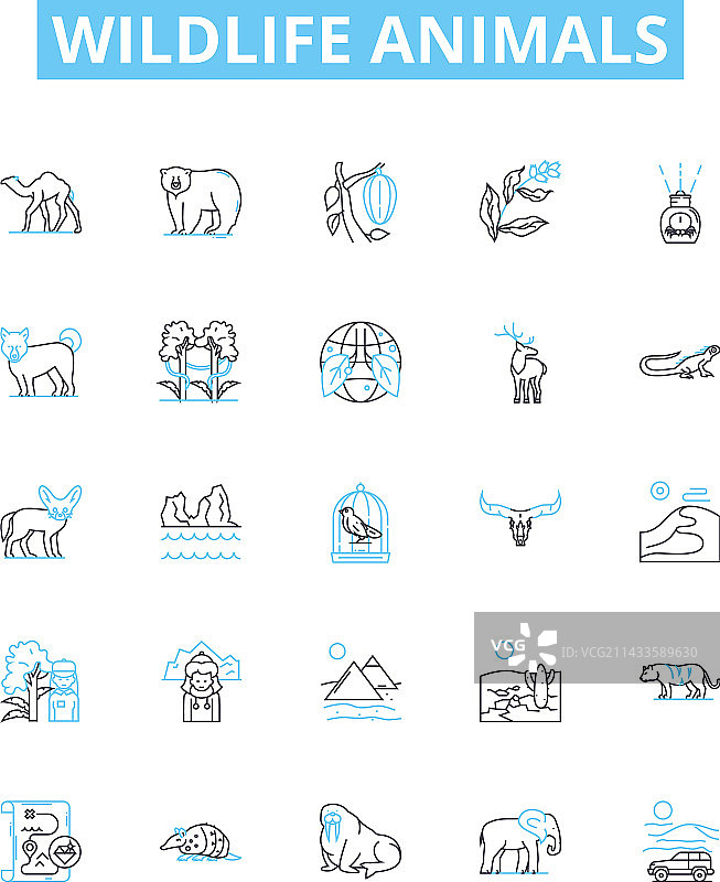 野生动物线性图标合集图片素材