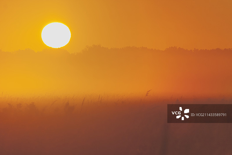 雾蒙蒙的日出图片素材