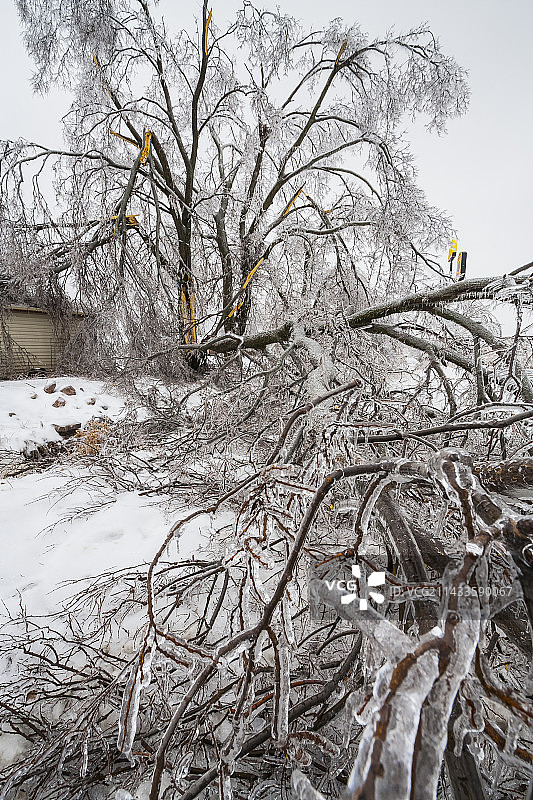 密苏里州西北部冰暴图片素材