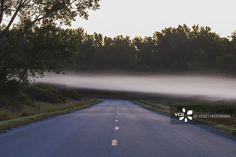 农作物雾图片素材