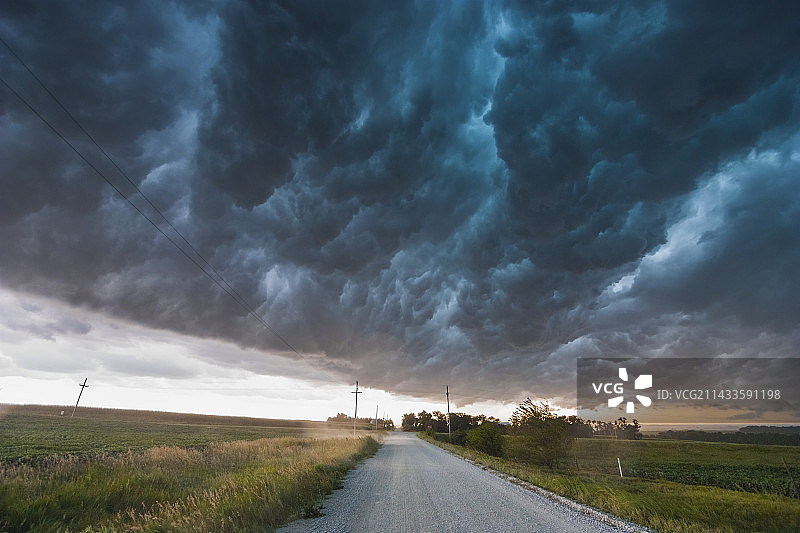 鲸鱼嘴图片素材